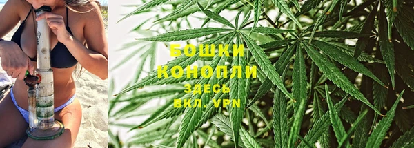 трава Инсар