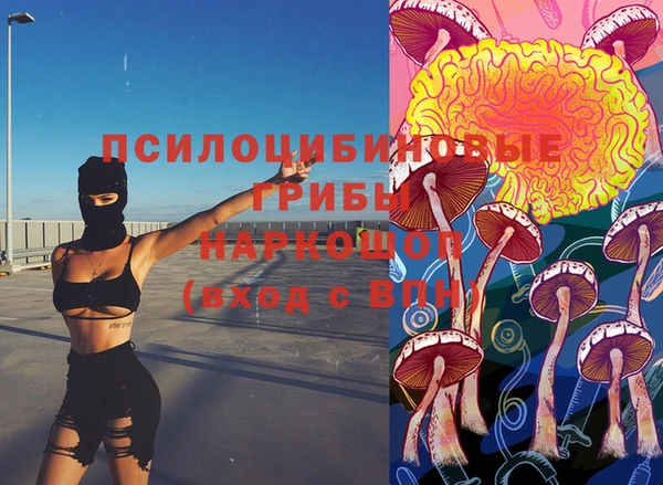 трава Инсар